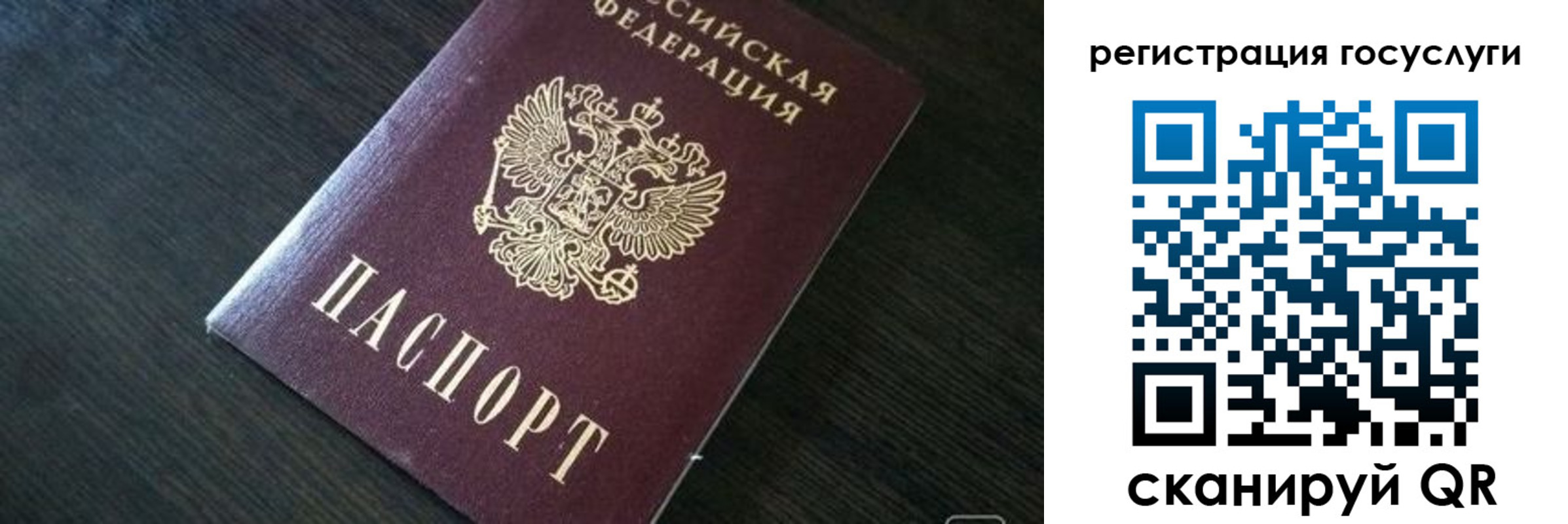 прописка ребенка в Почепе